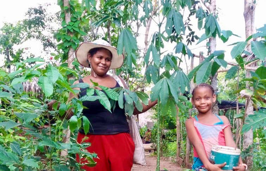 sustainability in Colombia / developpement durable en Colombie
