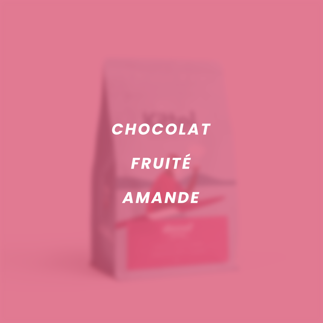 Flavor notes for Decaf Tumbaga: chocolate, fruity, almond.