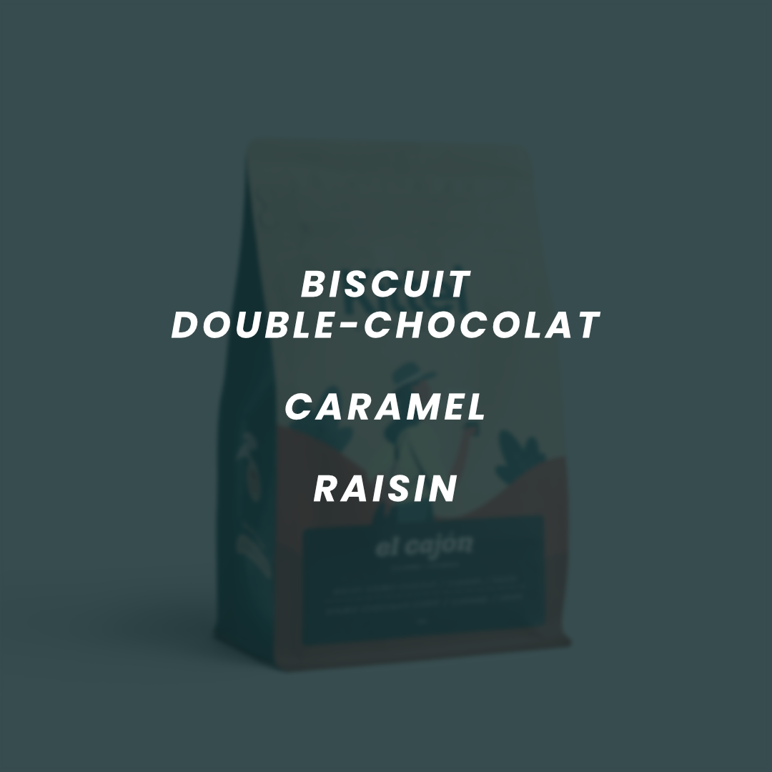 Flavor notes for El Cajón: double chocolate cookie, caramel, raisin.