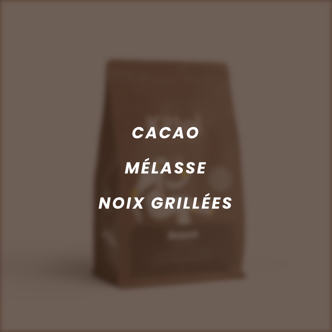 Flavor notes for Foncé: cacao, molasses, roasted nuts.