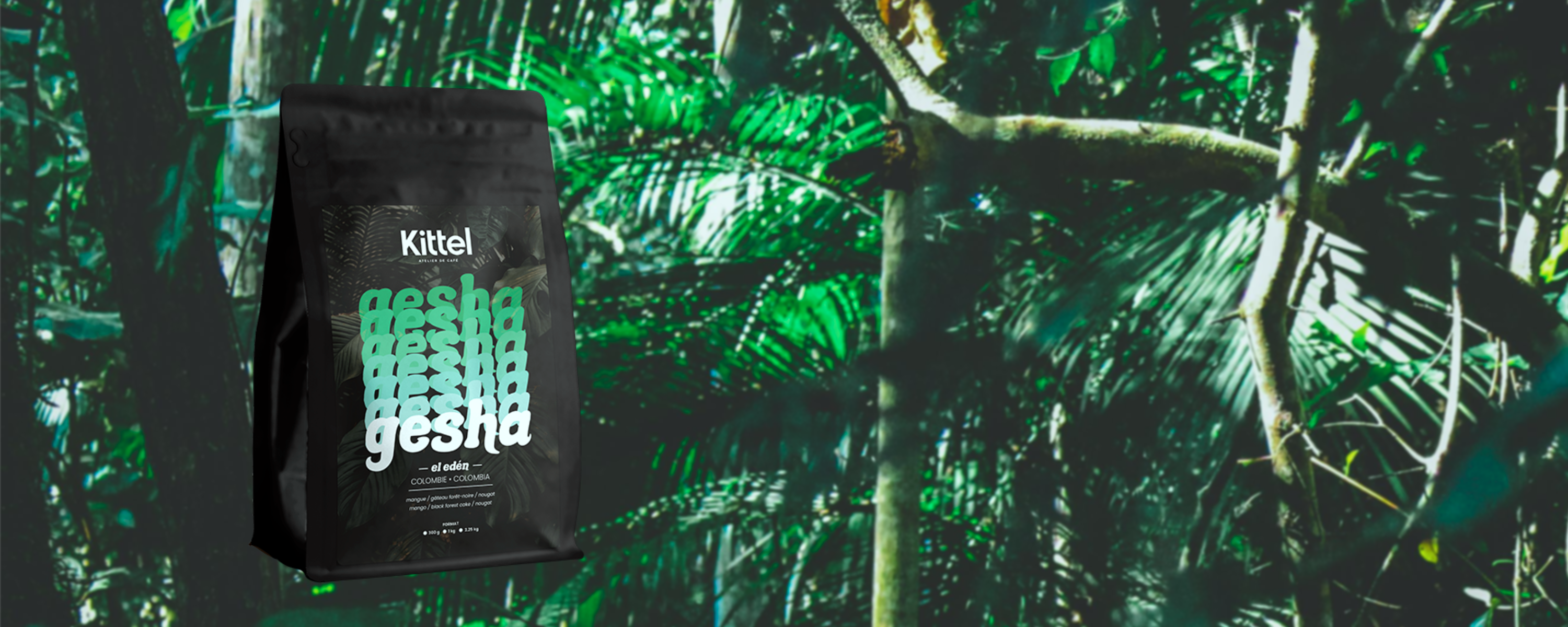 Banner image showing a bag of Kittel Gesha El Edén coffee in a lush jungle setting.