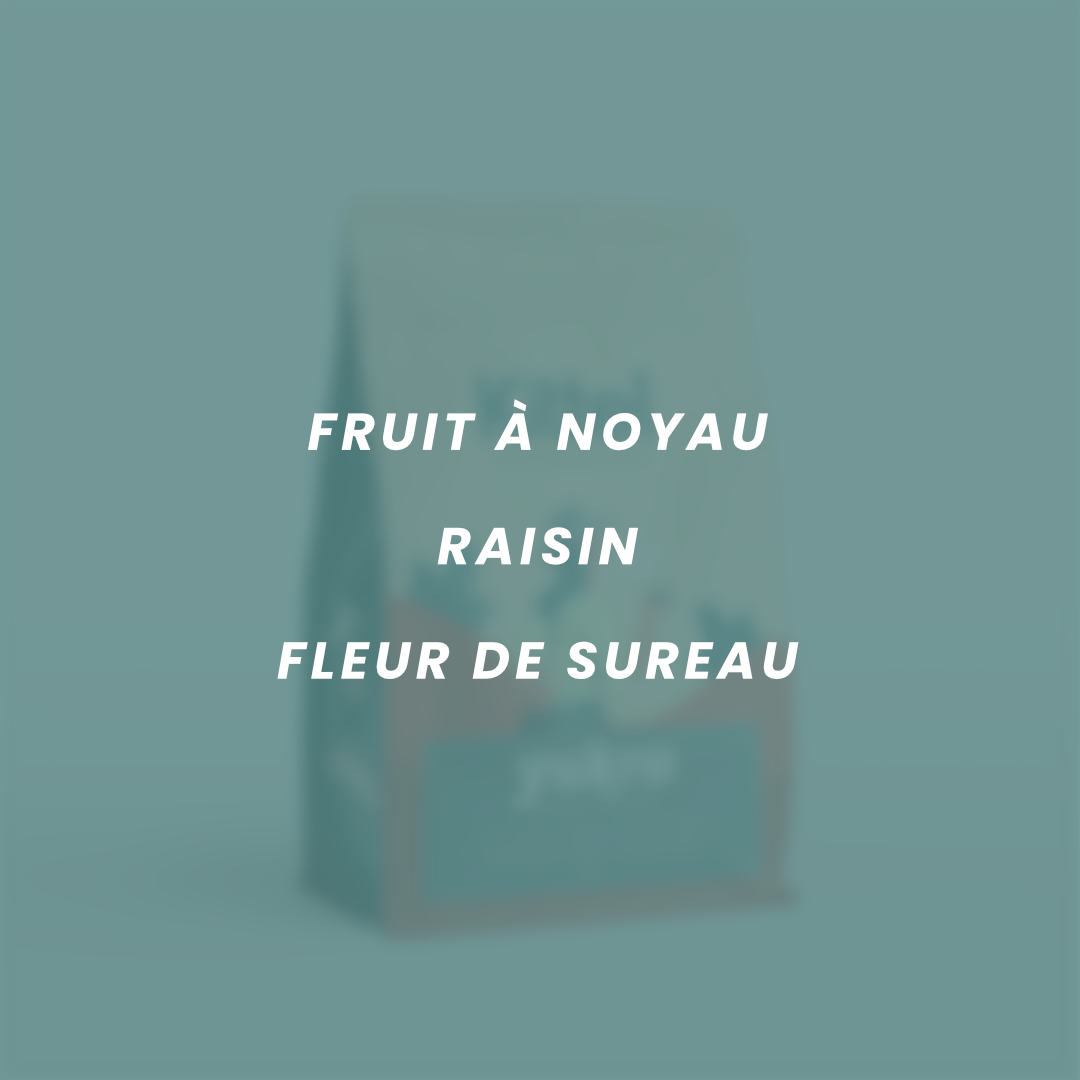 Flavor notes for Yukro: stone fruit, grape, elderflower