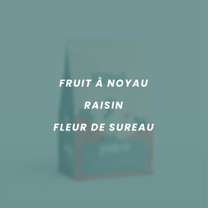 Flavor notes for Yukro: stone fruit, grape, elderflower